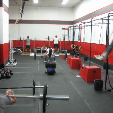 IMG_6769 IMG_6769